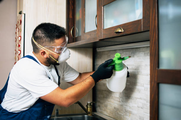 Best Affordable Pest Control Services  in Moss Bluff, LA