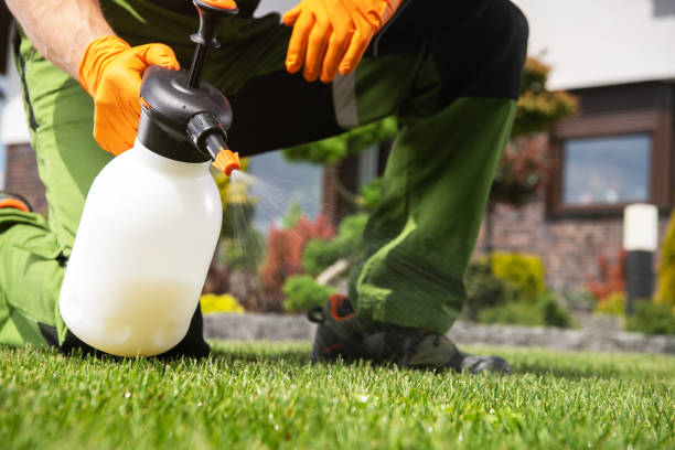 Best Local Pest Control Services  in Moss Bluff, LA