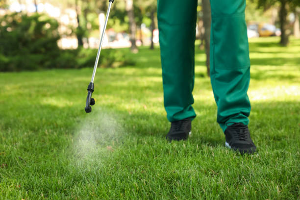 Best Mosquito Control Services  in Moss Bluff, LA