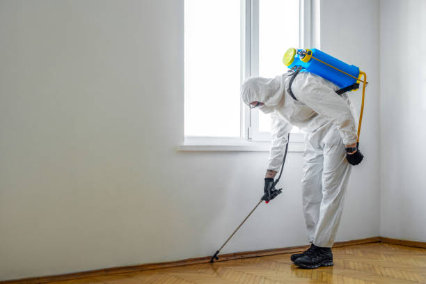 Best Rat Extermination Near Me  in Moss Bluff, LA