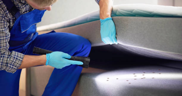 Best Best Pest Control Companies  in Moss Bluff, LA