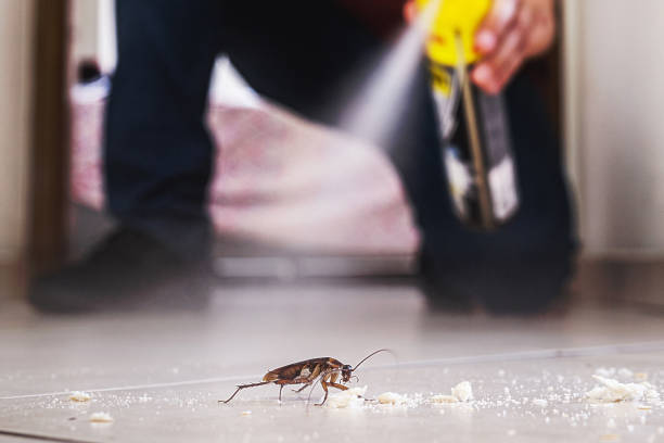 Best Wildlife Control Services  in Moss Bluff, LA