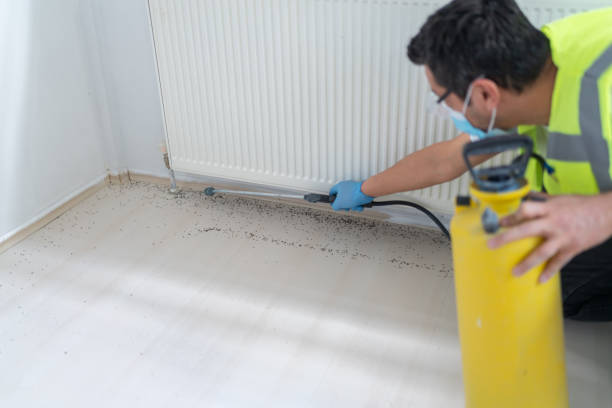 Best Pest Prevention Services  in Moss Bluff, LA