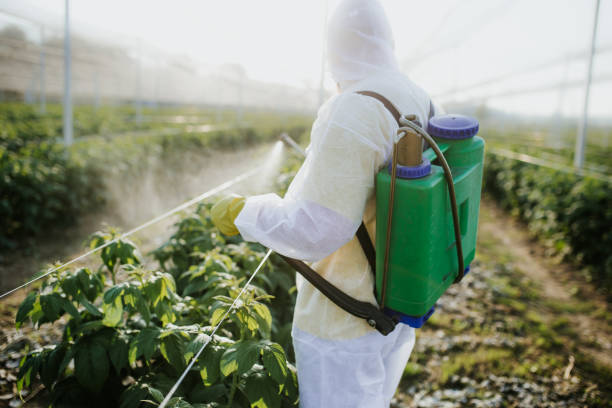 Best Bed Bug Extermination  in Moss Bluff, LA